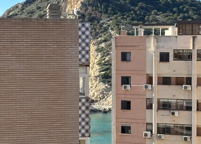 Premium Apartment